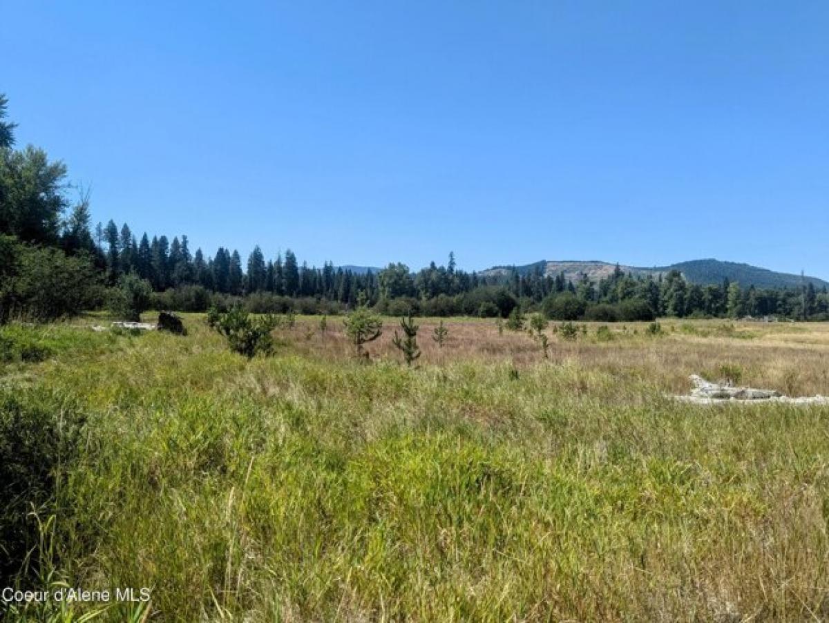 Picture of Residential Land For Sale in Fernwood, Idaho, United States