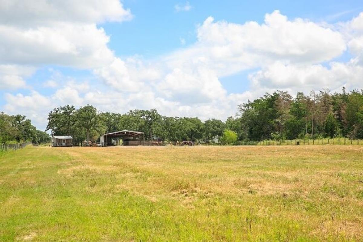 Picture of Residential Land For Sale in Burton, Texas, United States