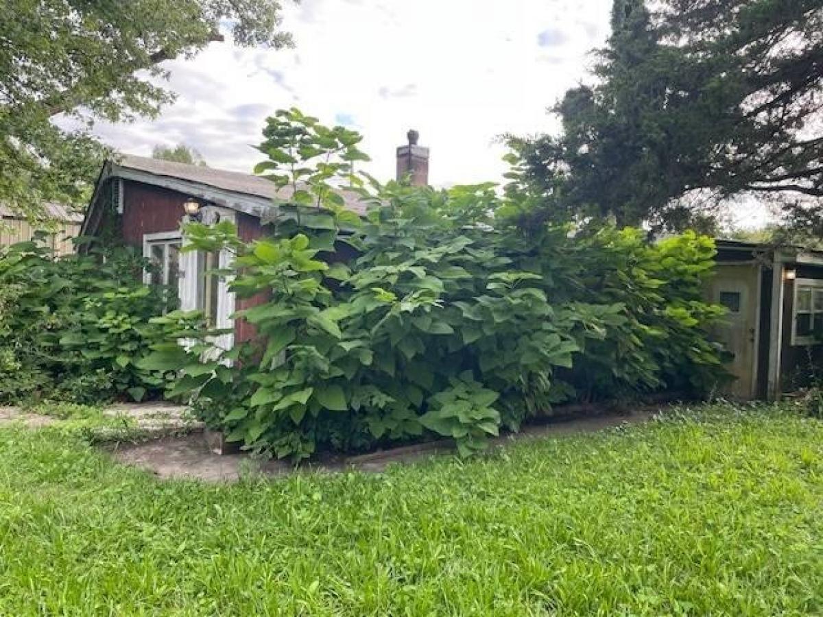 Picture of Home For Sale in Beardstown, Illinois, United States