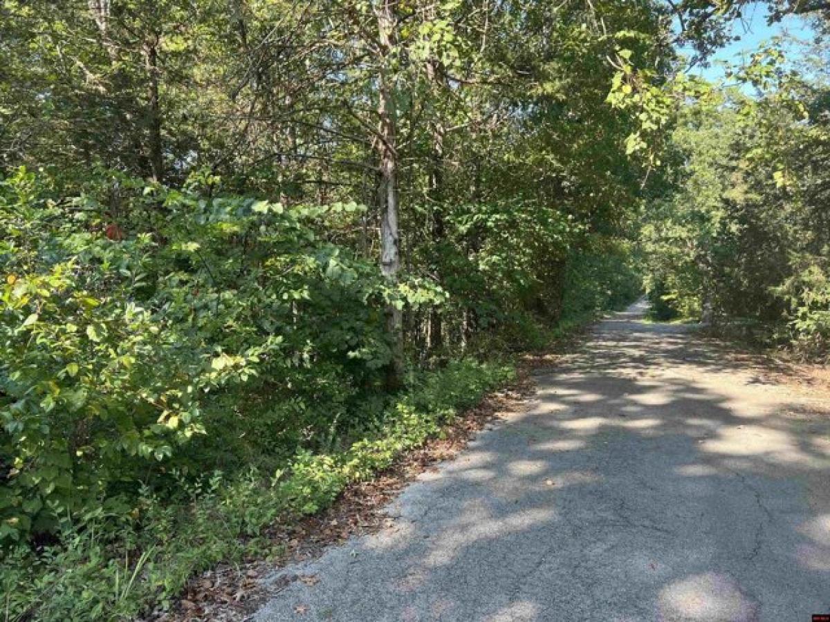 Picture of Residential Land For Sale in Mountain Home, Arkansas, United States