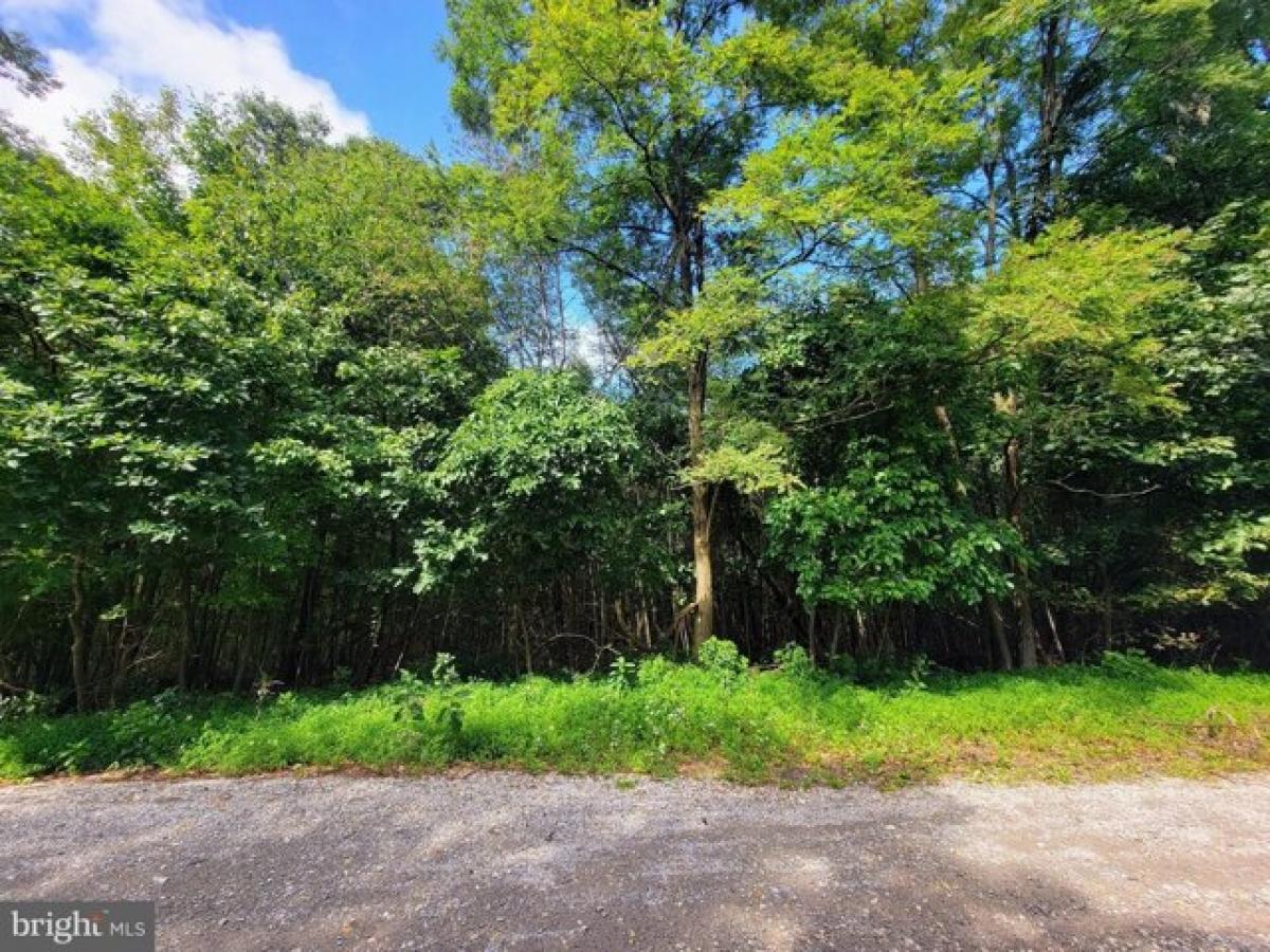 Picture of Residential Land For Sale in Tamaqua, Pennsylvania, United States