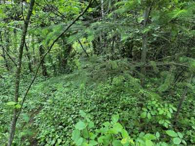 Residential Land For Sale in Sweet Home, Oregon