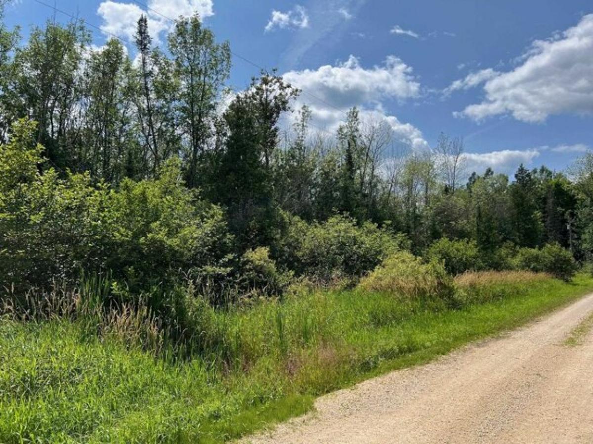 Picture of Residential Land For Sale in Daggett, Michigan, United States