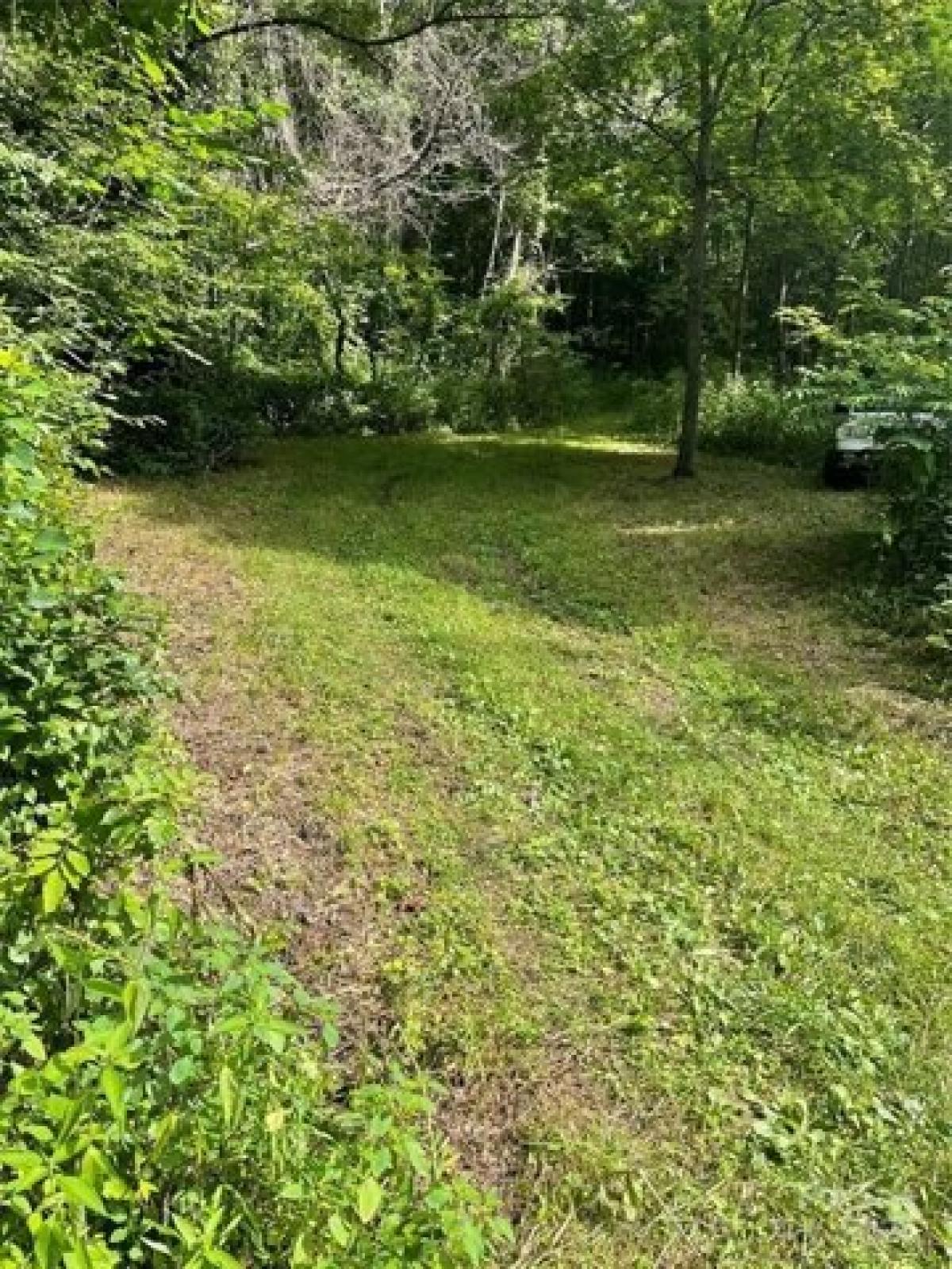 Picture of Residential Land For Sale in Barnardsville, North Carolina, United States