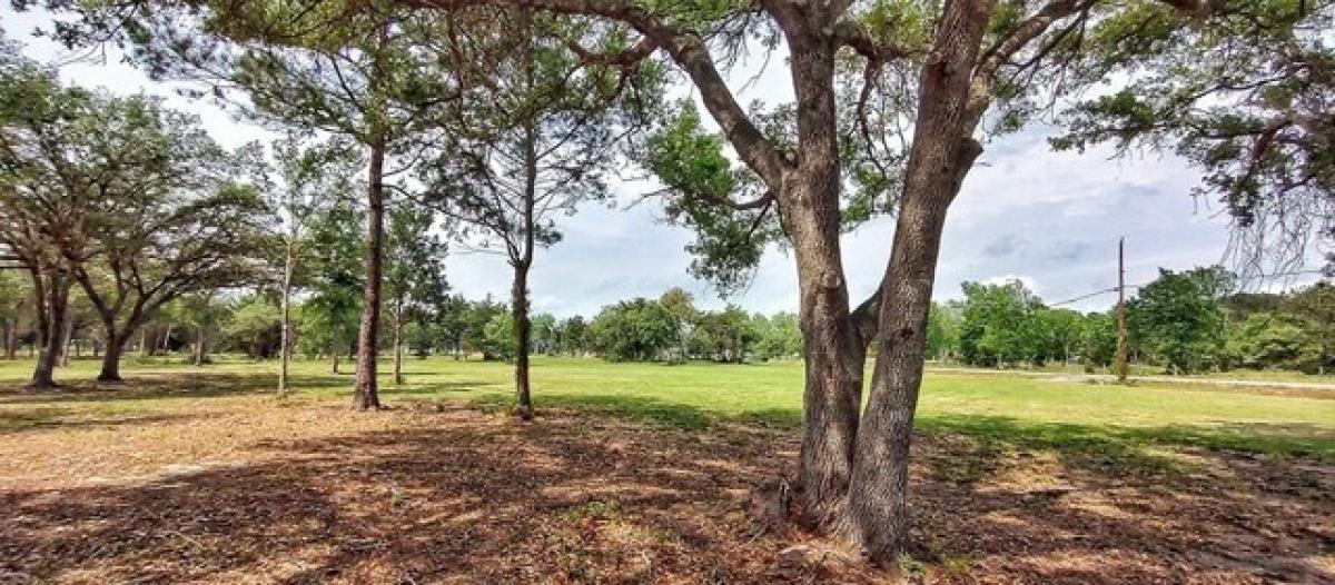 Picture of Residential Land For Sale in Alvin, Texas, United States