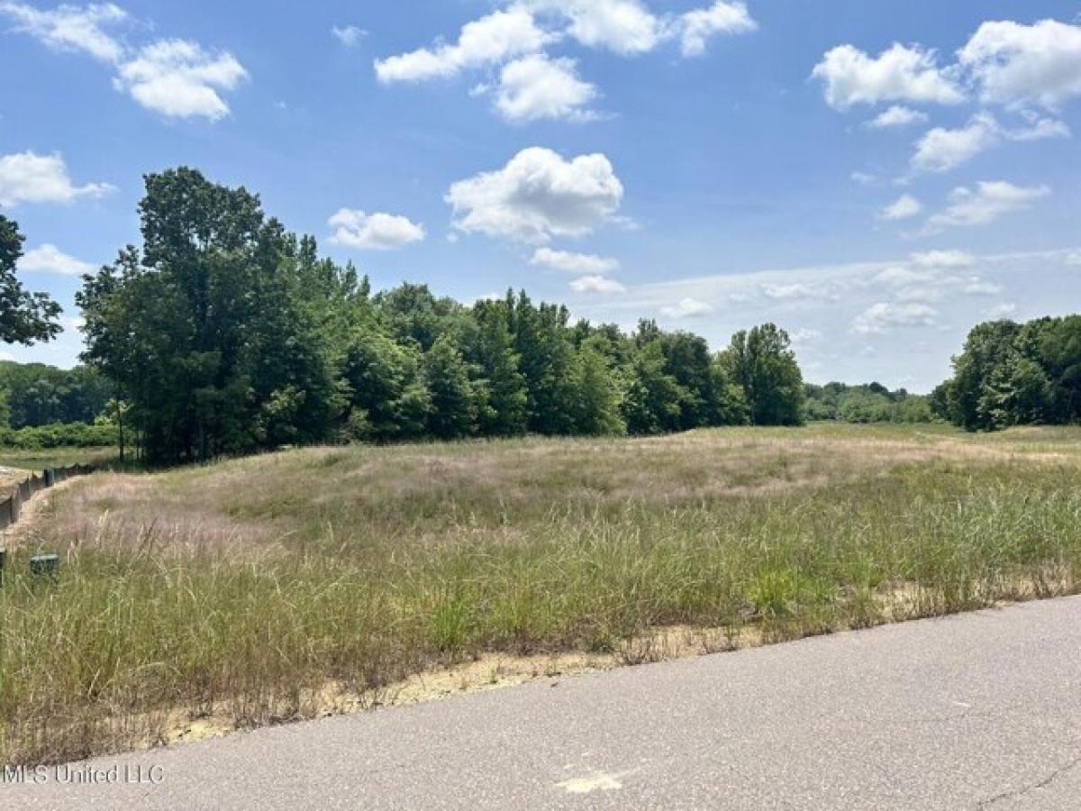 Picture of Residential Land For Sale in Byhalia, Mississippi, United States