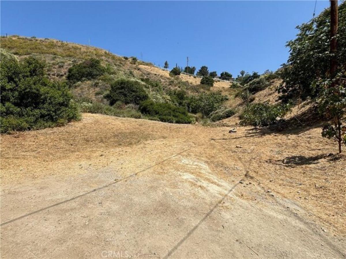 Picture of Residential Land For Sale in Sunland, California, United States