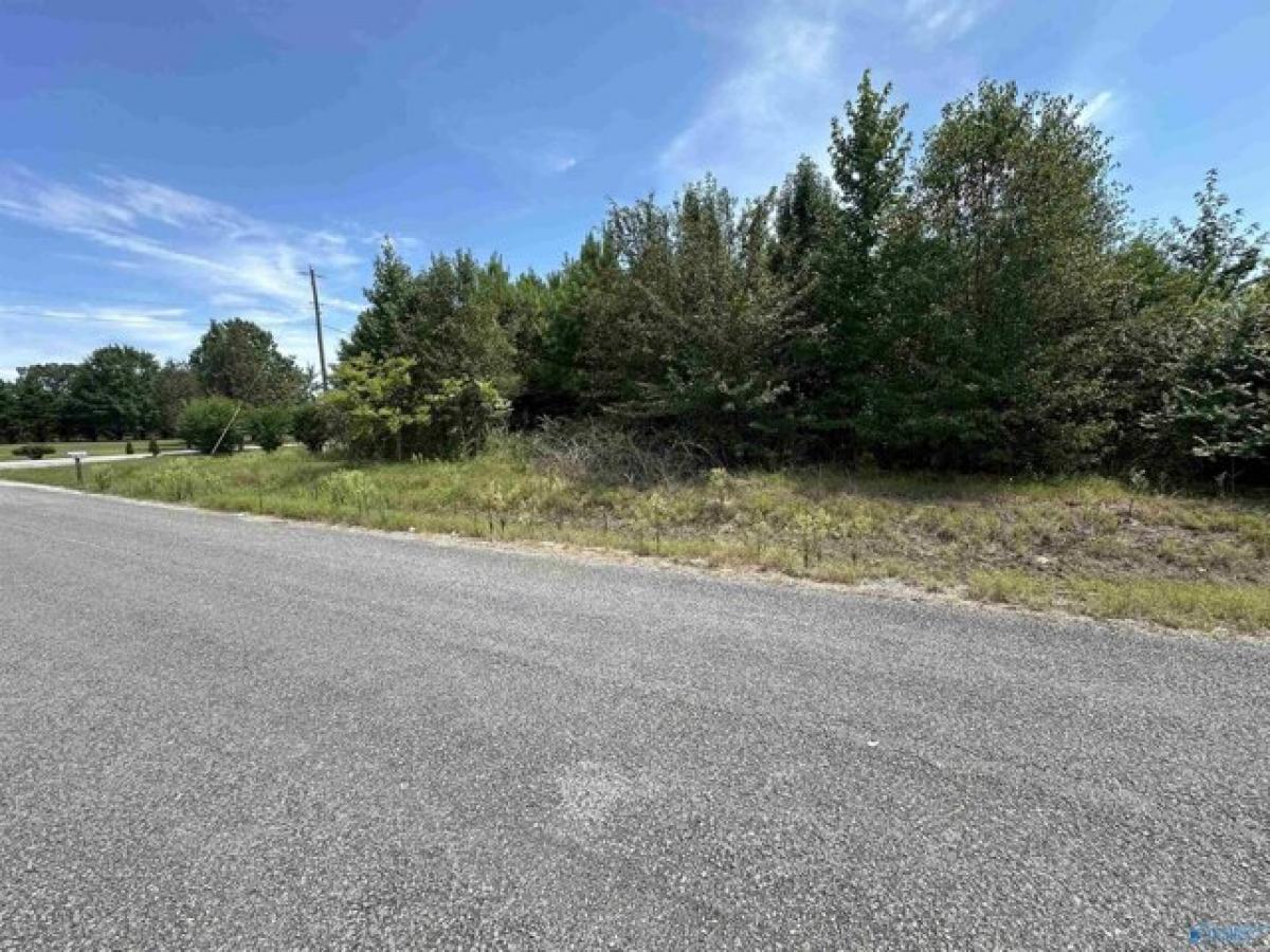 Picture of Residential Land For Sale in Trinity, Alabama, United States