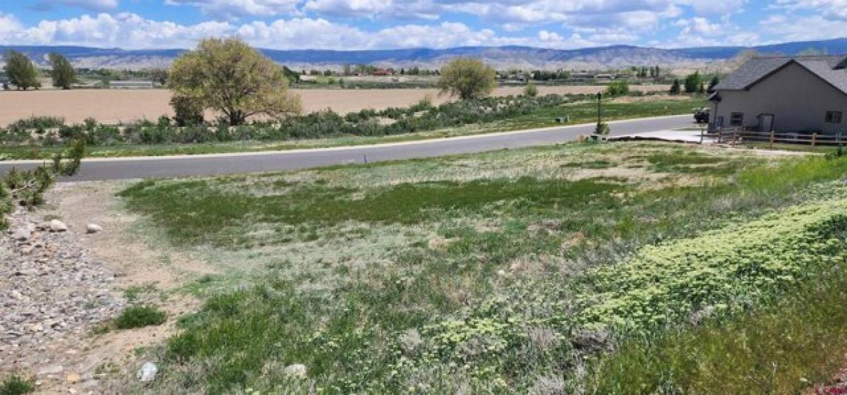 Picture of Residential Land For Sale in Montrose, Colorado, United States