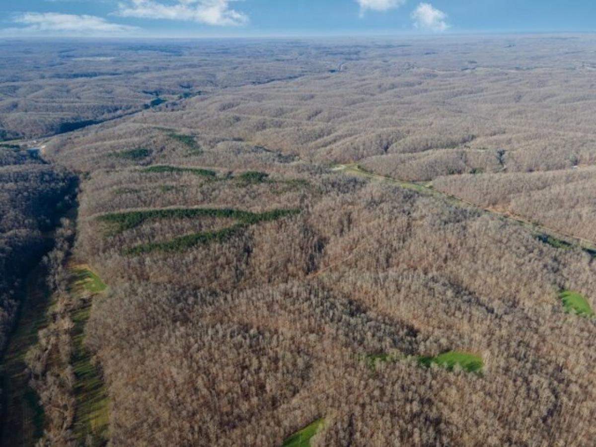 Picture of Residential Land For Sale in Mcewen, Tennessee, United States