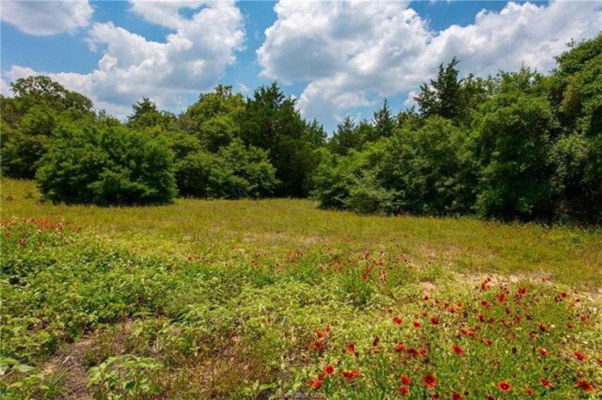 Picture of Residential Land For Sale in Caldwell, Texas, United States