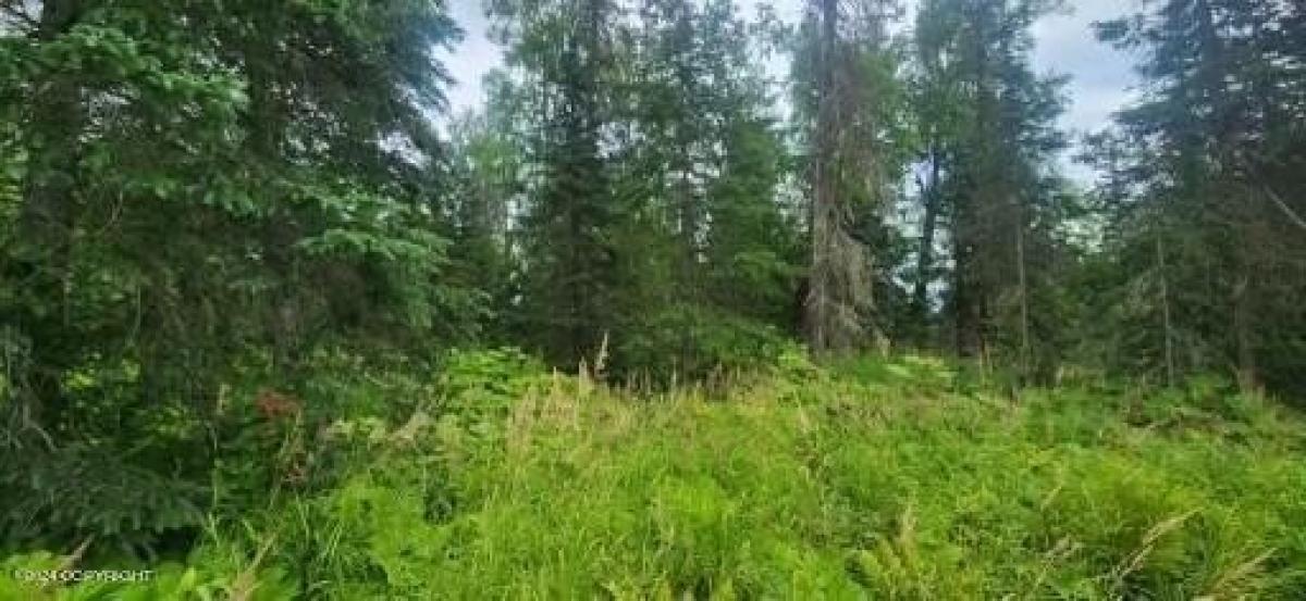 Picture of Residential Land For Sale in Palmer, Alaska, United States