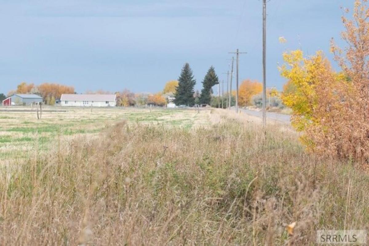 Picture of Residential Land For Sale in Rigby, Idaho, United States