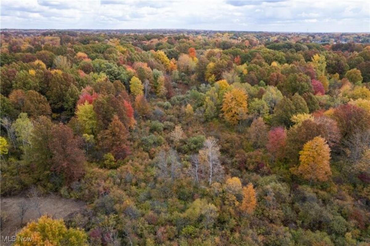 Picture of Residential Land For Sale in Girard, Ohio, United States