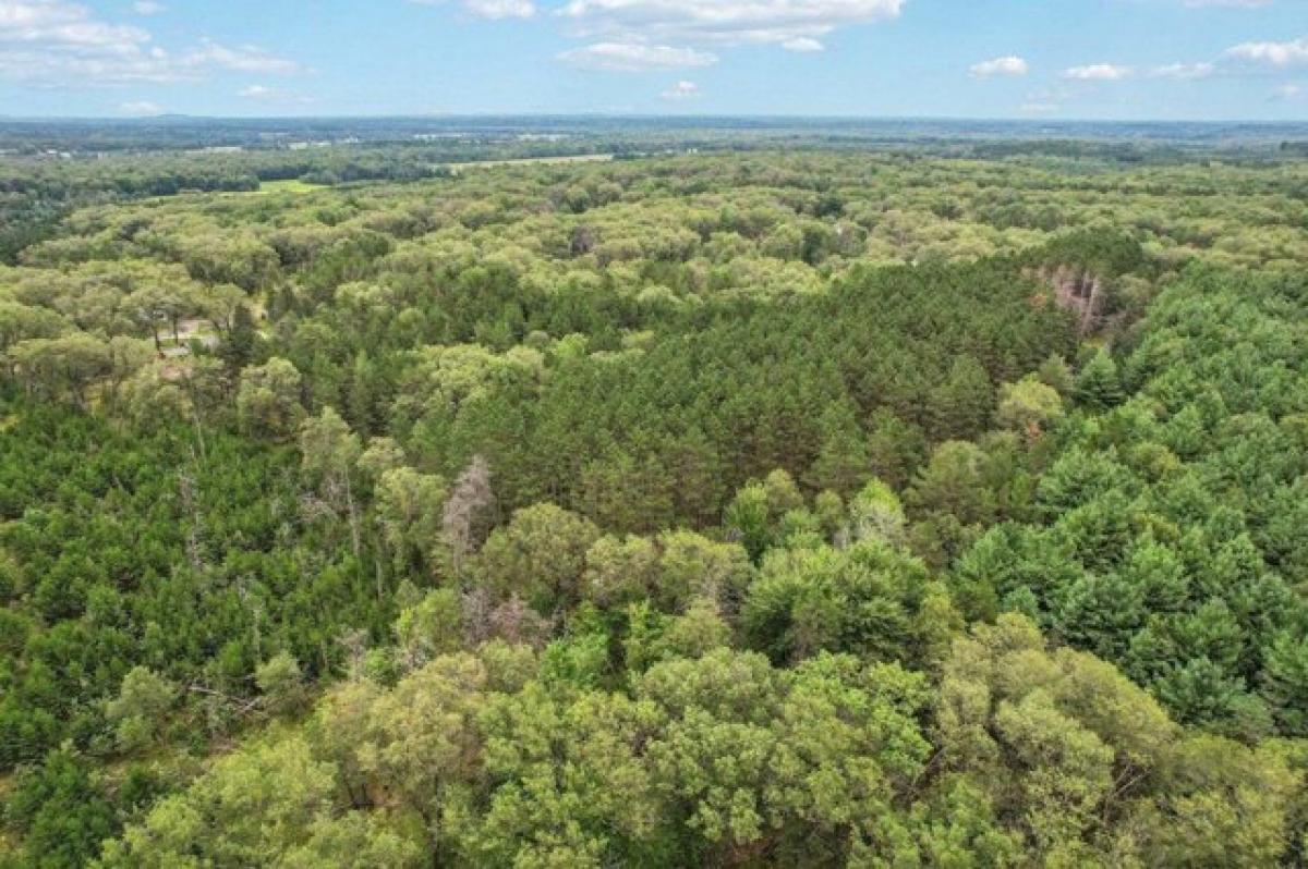 Picture of Residential Land For Sale in Lyndon Station, Wisconsin, United States