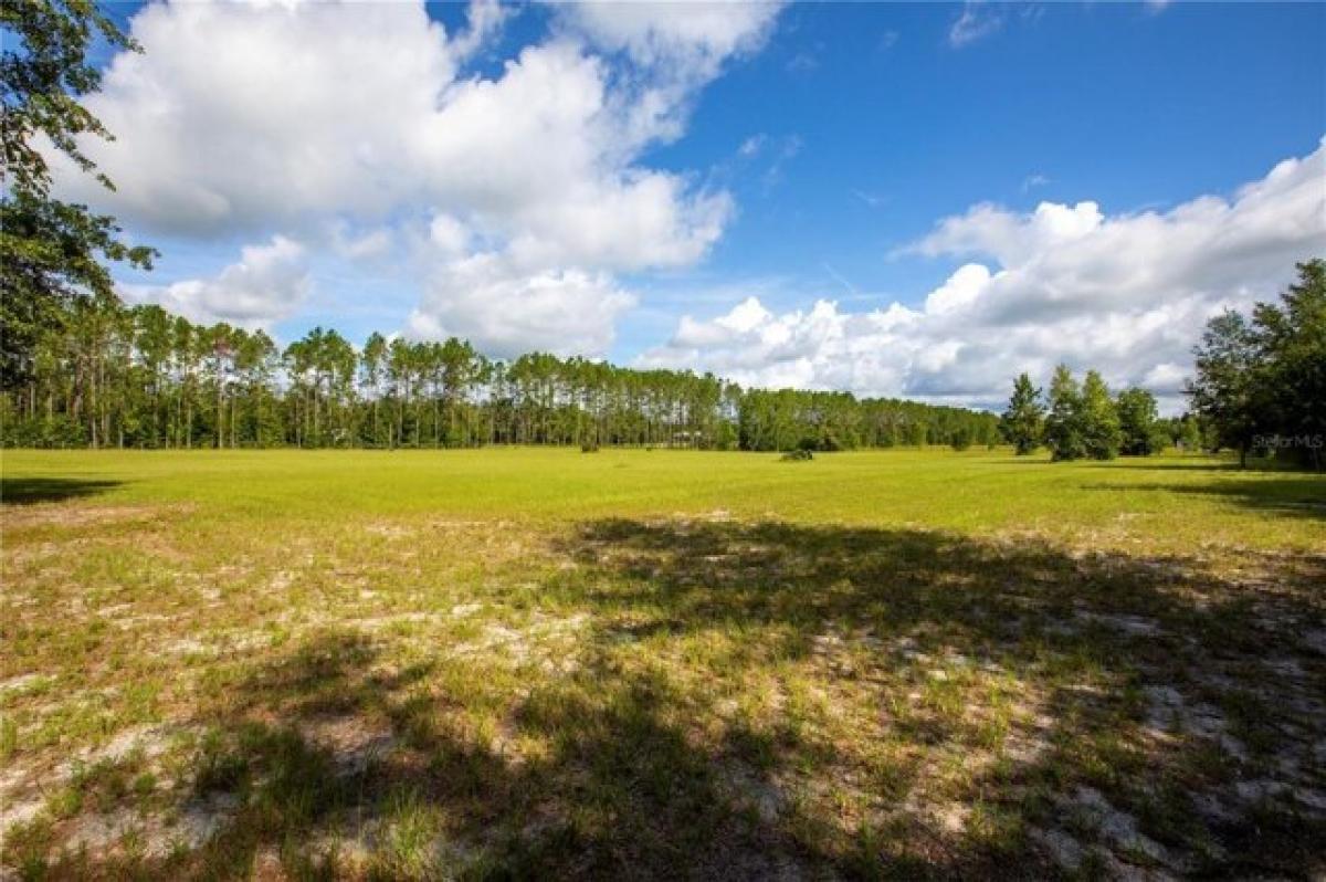 Picture of Home For Sale in Live Oak, Florida, United States