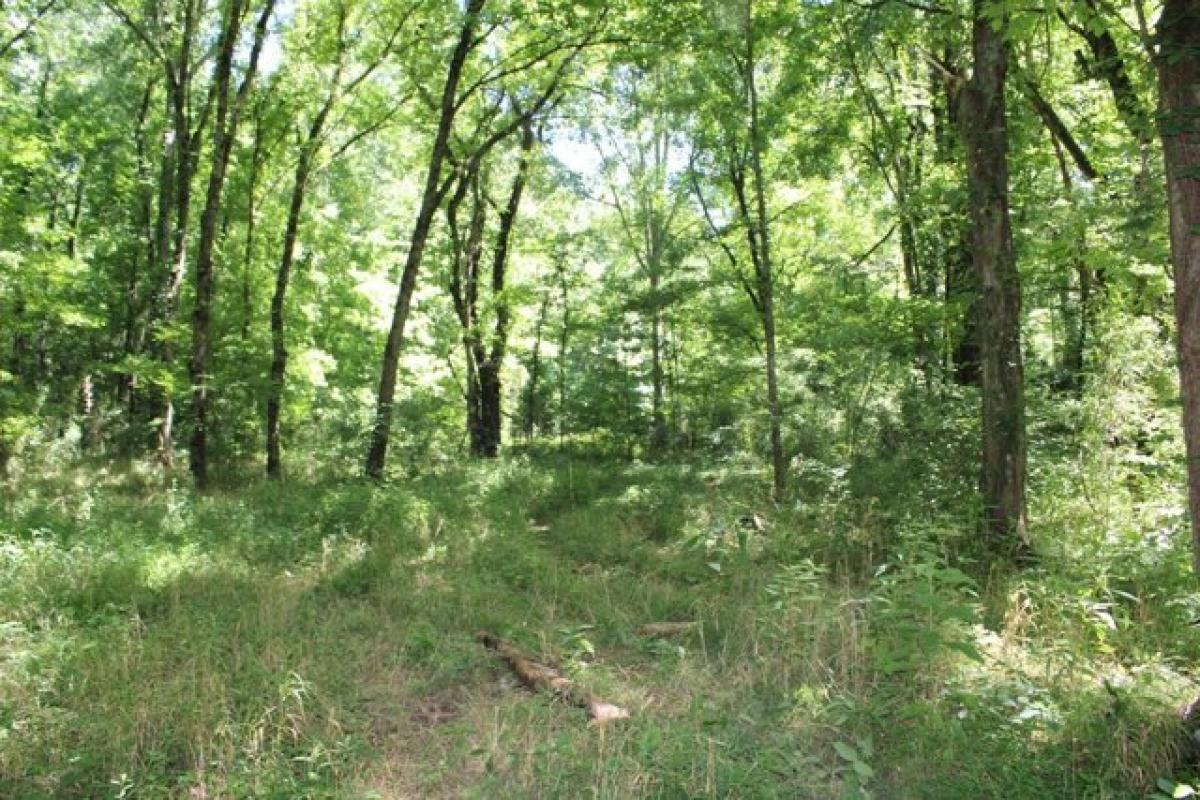 Picture of Residential Land For Sale in Yazoo City, Mississippi, United States