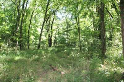 Residential Land For Sale in 