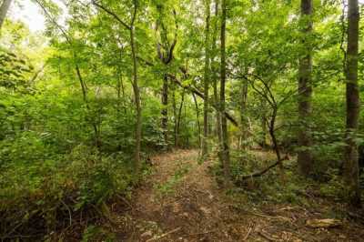 Residential Land For Sale in Higginsville, Missouri