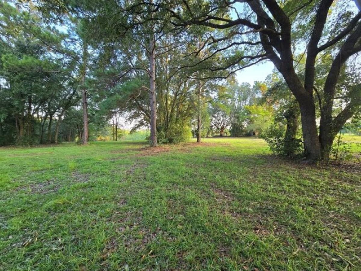 Picture of Residential Land For Sale in Bainbridge, Georgia, United States