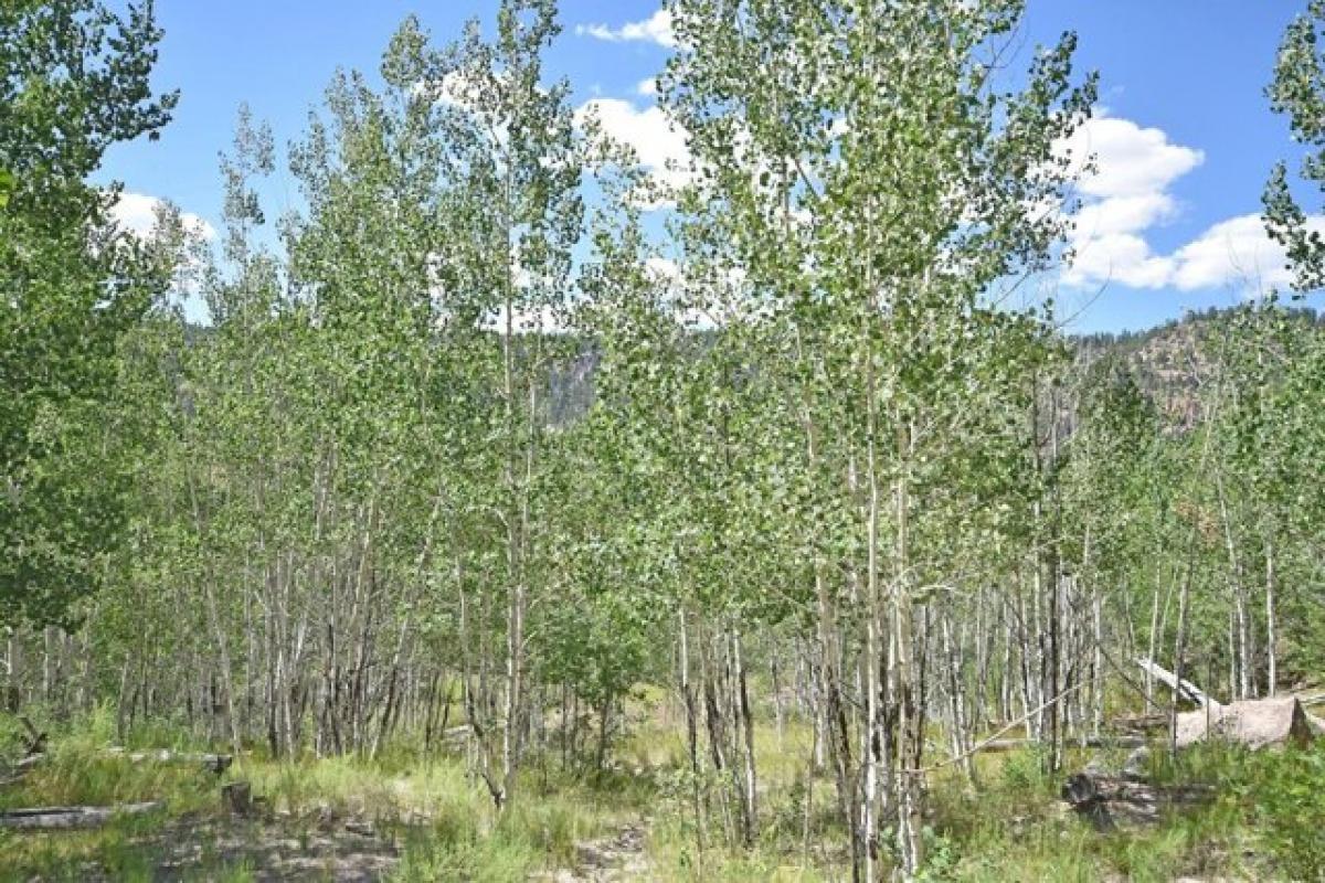 Picture of Residential Land For Sale in Jemez Springs, New Mexico, United States