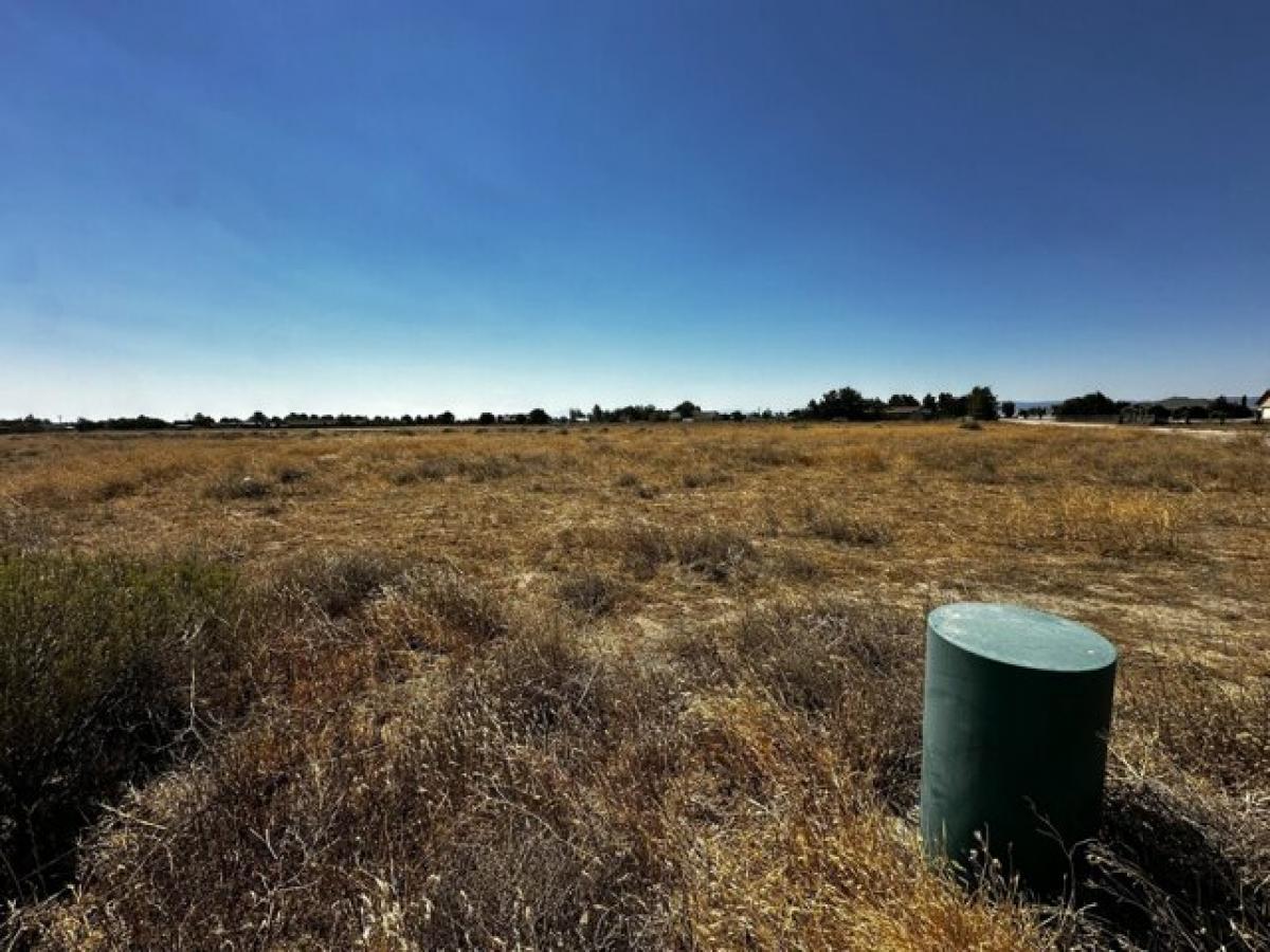 Picture of Residential Land For Sale in Rosamond, California, United States