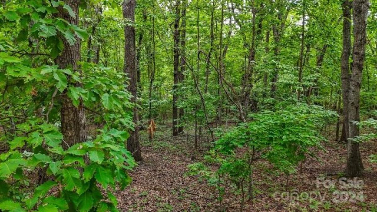 Picture of Home For Sale in Kings Mountain, North Carolina, United States