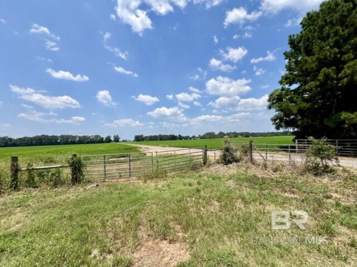 Picture of Residential Land For Sale in Wilmer, Alabama, United States