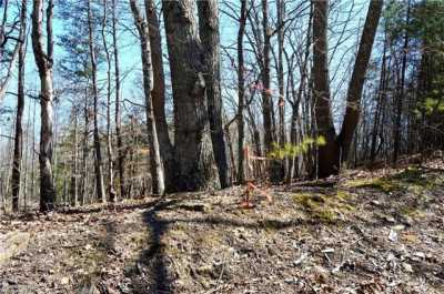 Residential Land For Sale in Madison, North Carolina