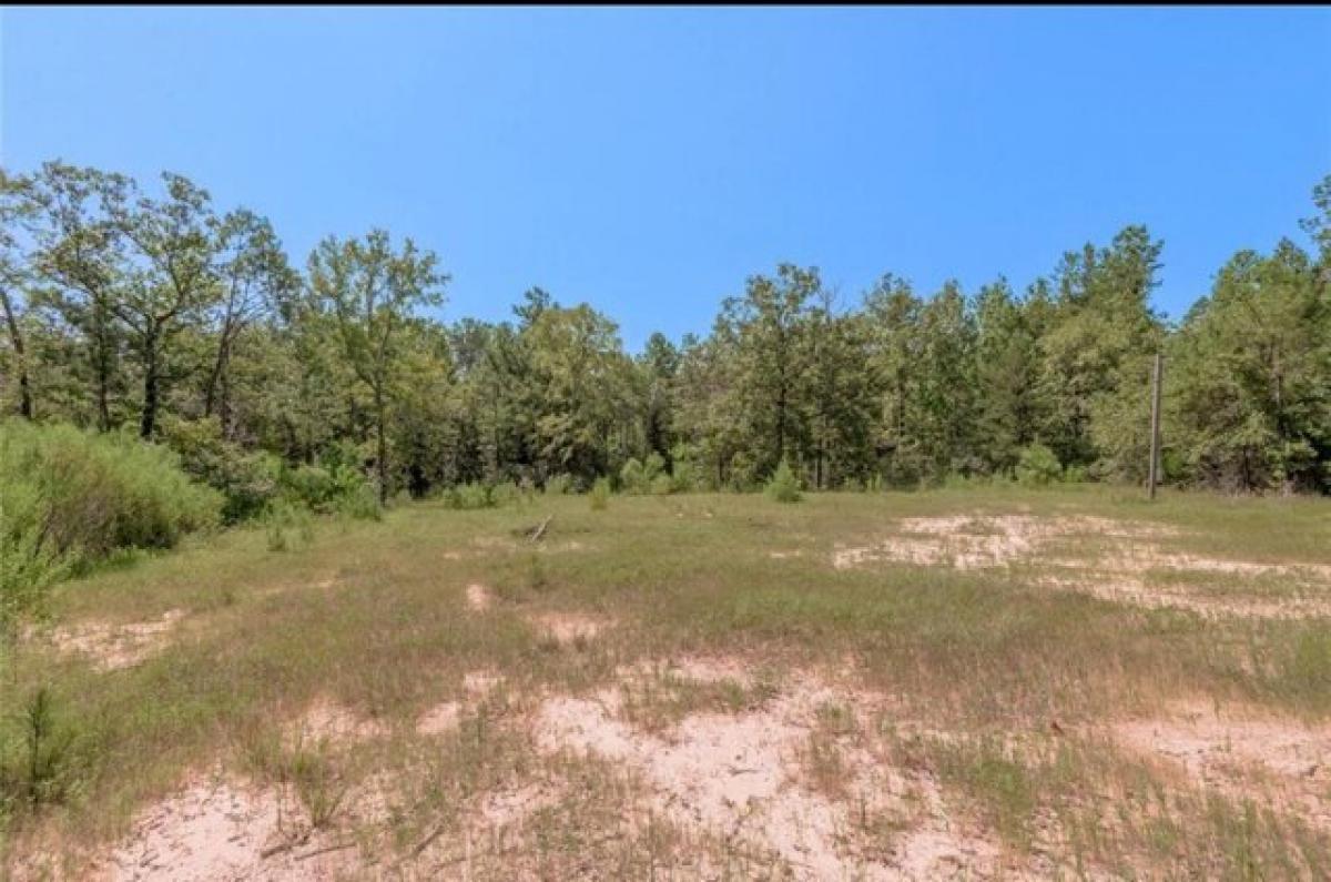 Picture of Residential Land For Sale in Trinity, Texas, United States