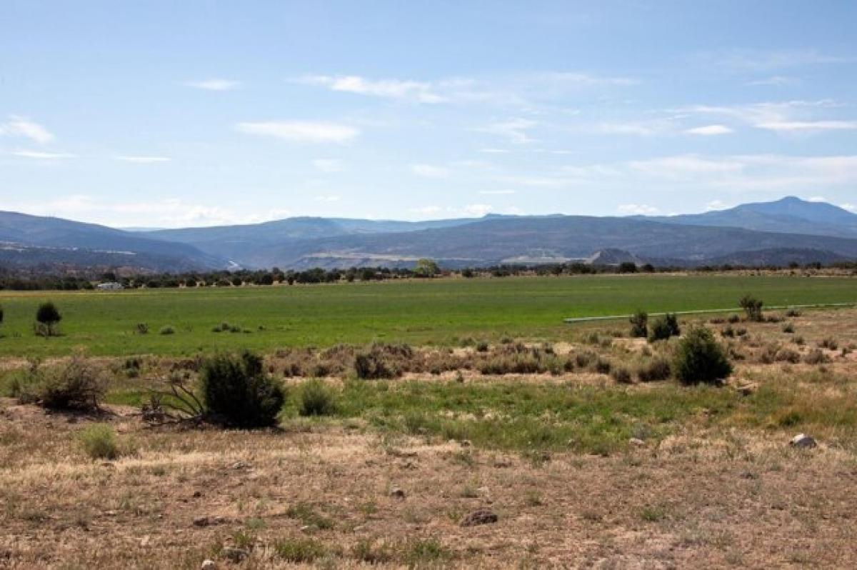 Picture of Residential Land For Sale in Montrose, Colorado, United States