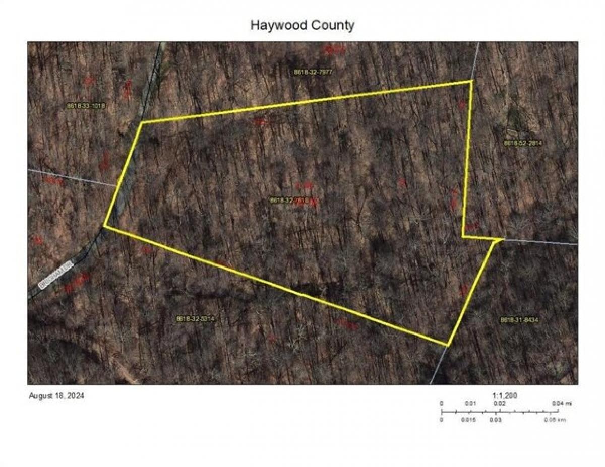 Picture of Residential Land For Sale in Waynesville, North Carolina, United States