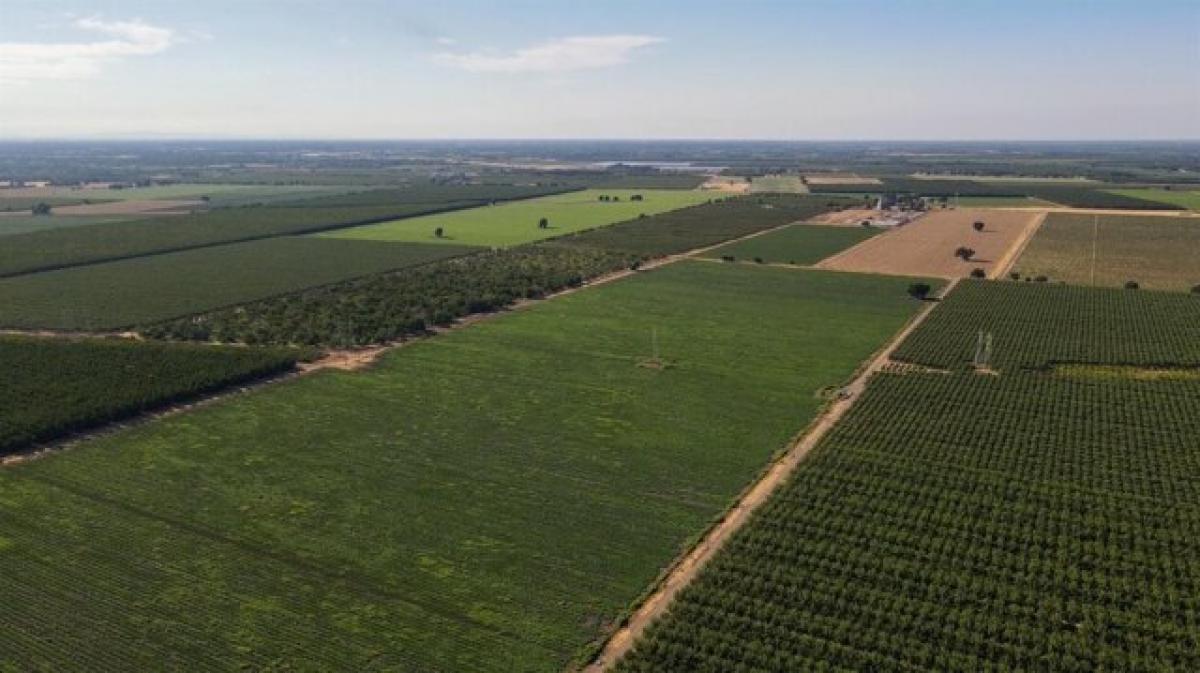 Picture of Residential Land For Sale in Stockton, California, United States