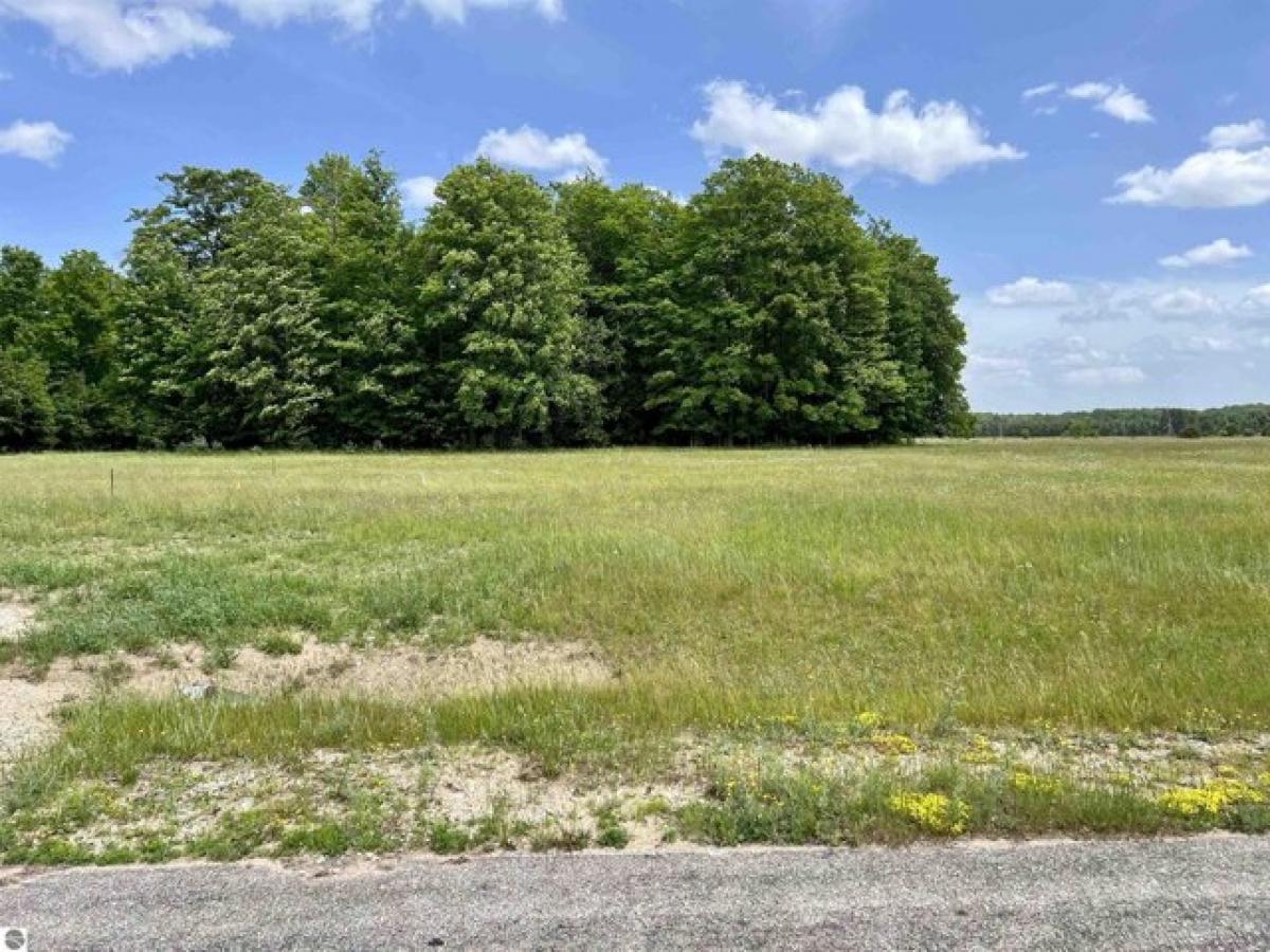 Picture of Residential Land For Sale in Cadillac, Michigan, United States