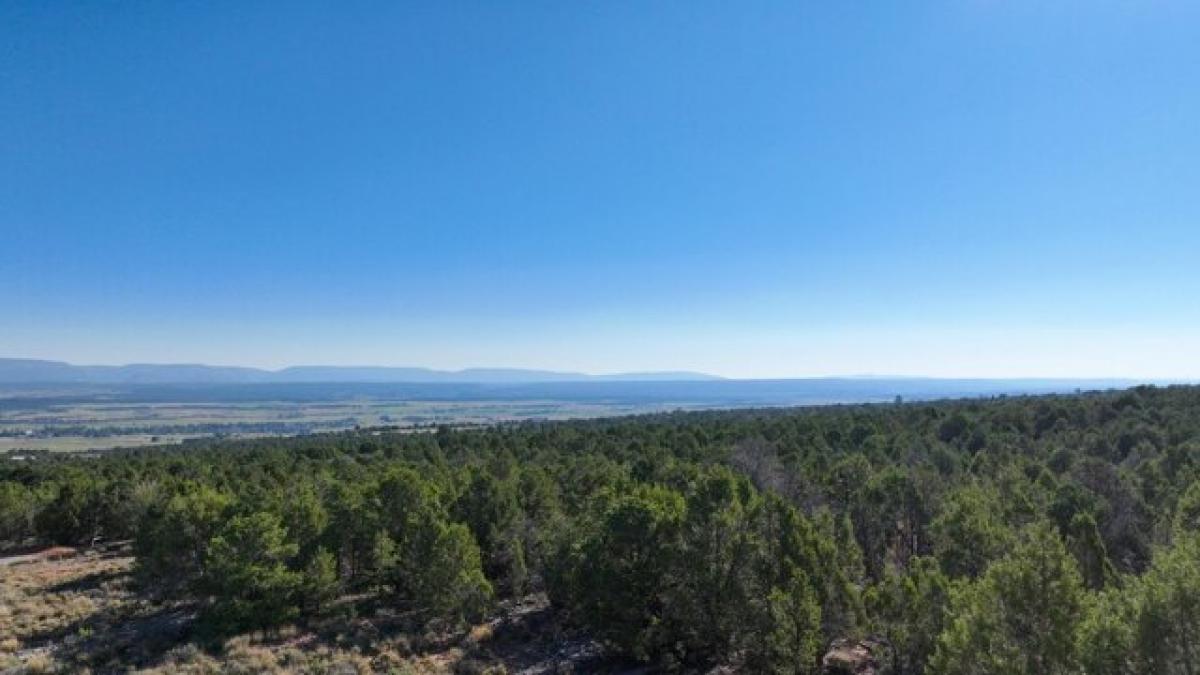 Picture of Residential Land For Sale in Norwood, Colorado, United States