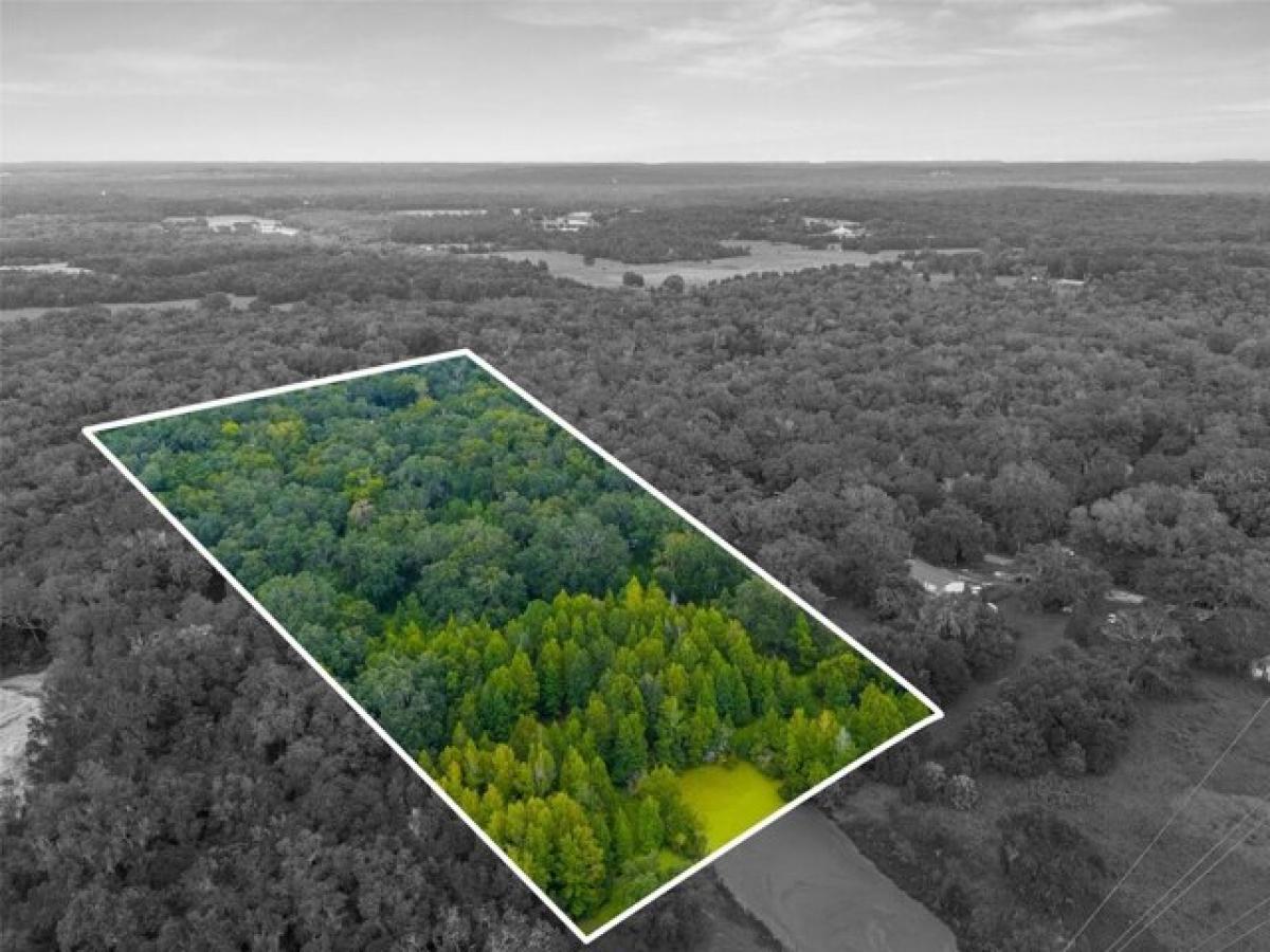 Picture of Residential Land For Sale in Brooksville, Florida, United States