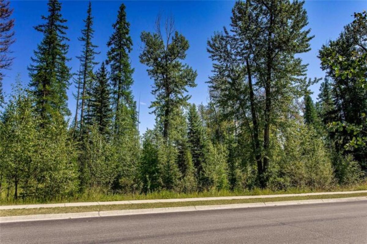 Picture of Residential Land For Sale in Whitefish, Montana, United States