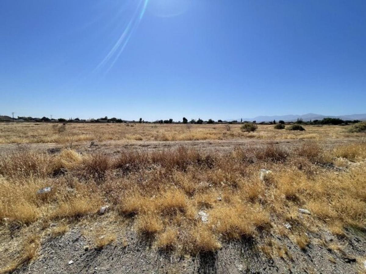 Picture of Residential Land For Sale in Palmdale, California, United States