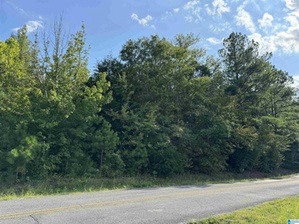 Picture of Residential Land For Sale in Ohatchee, Alabama, United States