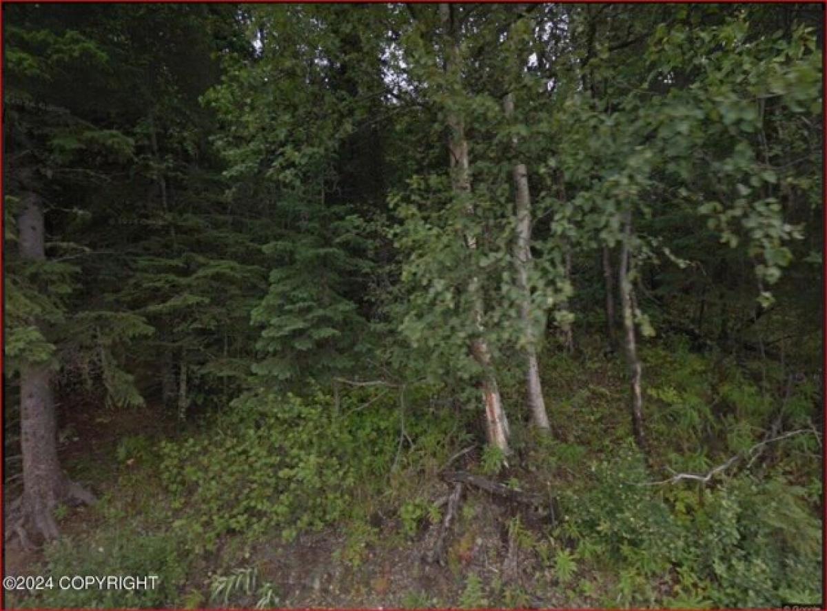 Picture of Residential Land For Sale in Eagle River, Alaska, United States