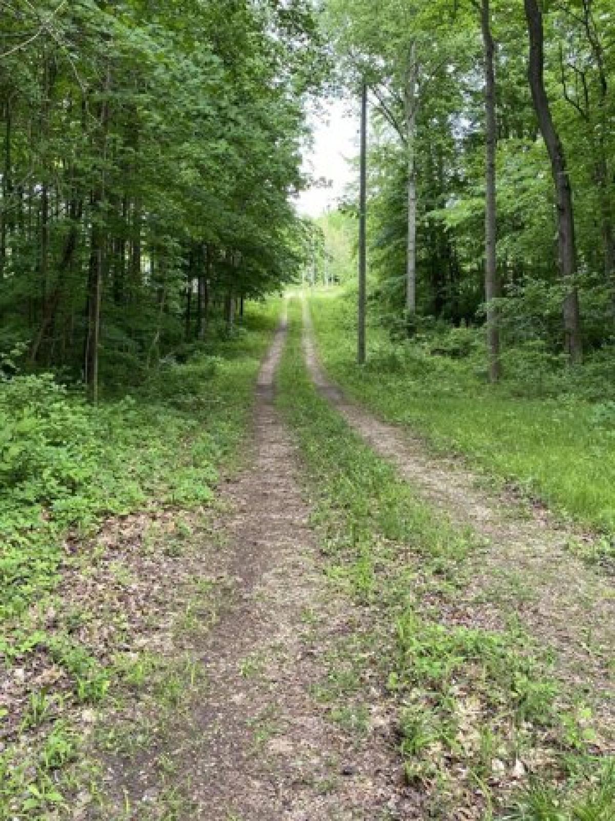 Picture of Residential Land For Sale in Coloma, Michigan, United States