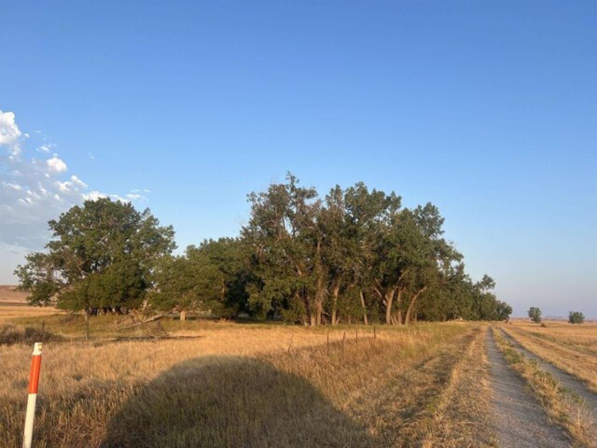 Picture of Residential Land For Sale in Scenic, South Dakota, United States