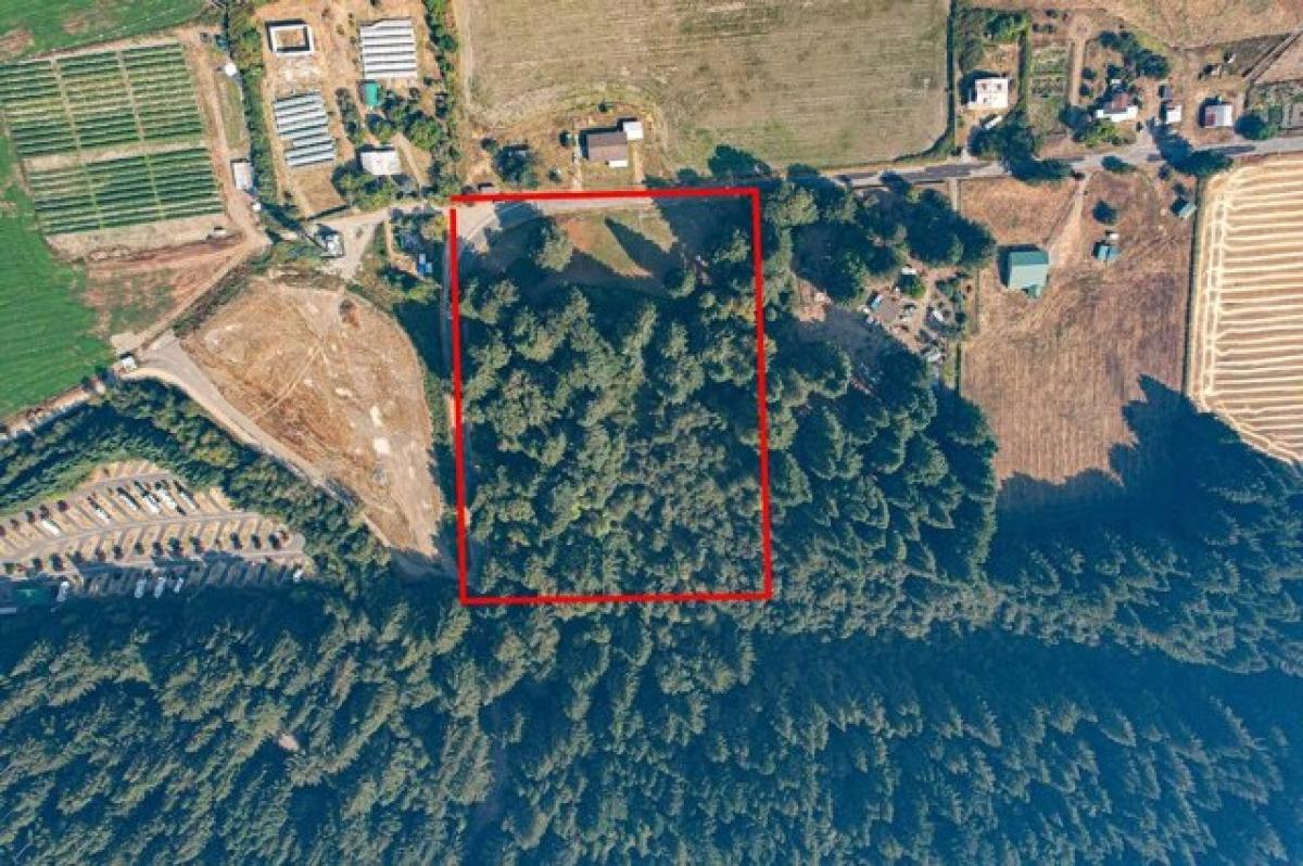 Picture of Residential Land For Sale in Redcrest, California, United States