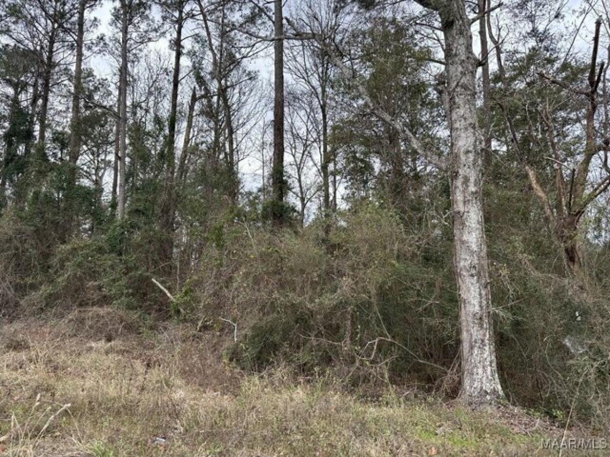 Picture of Residential Land For Sale in Brundidge, Alabama, United States