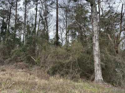 Residential Land For Sale in Brundidge, Alabama