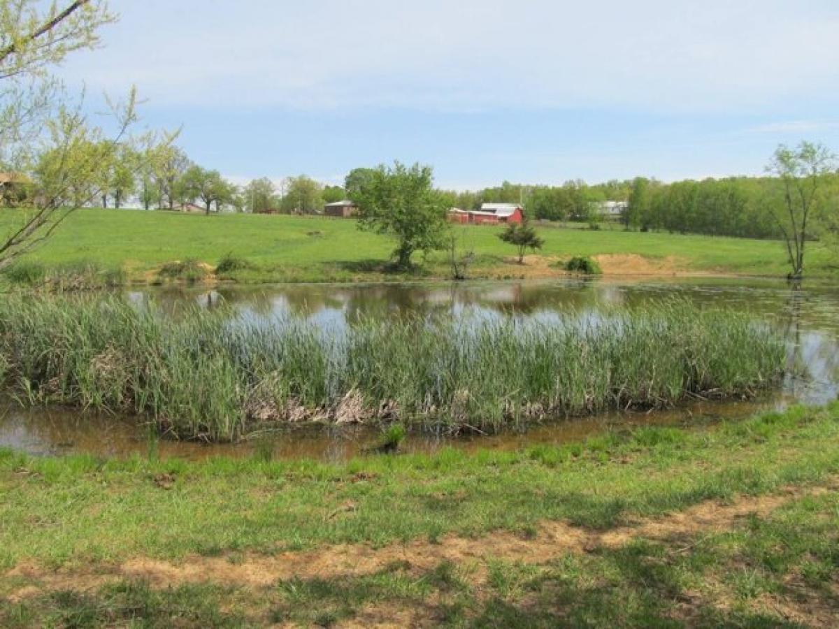 Picture of Residential Land For Sale in Huntsville, Arkansas, United States