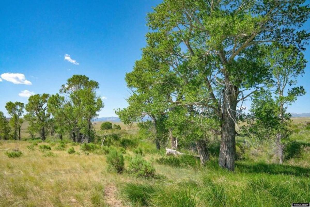 Picture of Residential Land For Sale in Meeteetse, Wyoming, United States