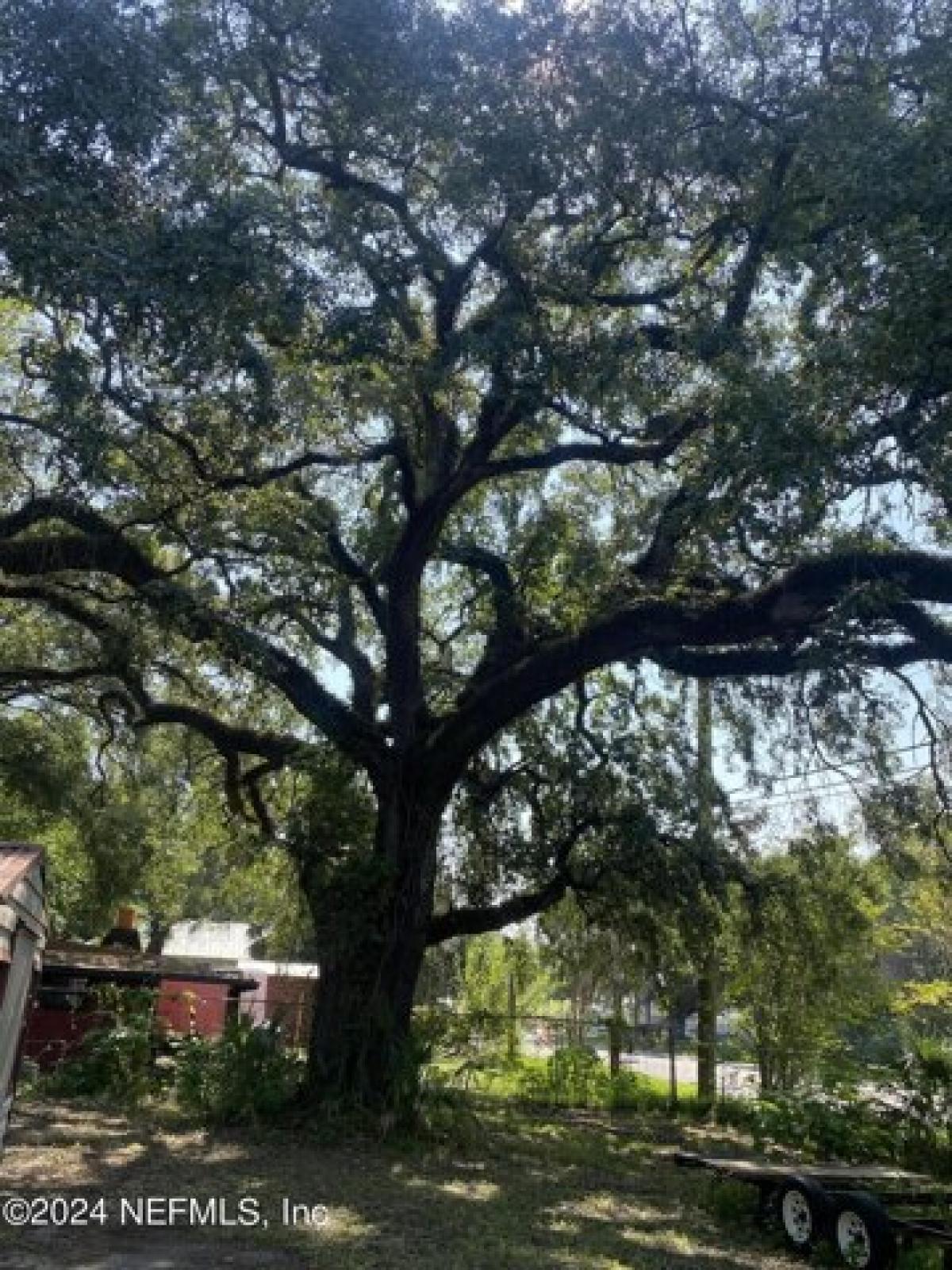 Picture of Residential Land For Sale in Jacksonville, Florida, United States