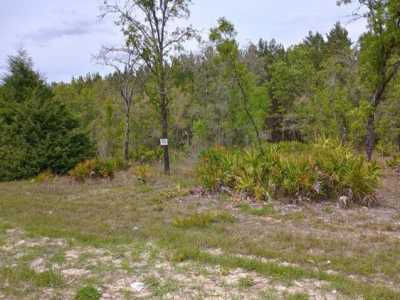 Residential Land For Sale in Williston, Florida