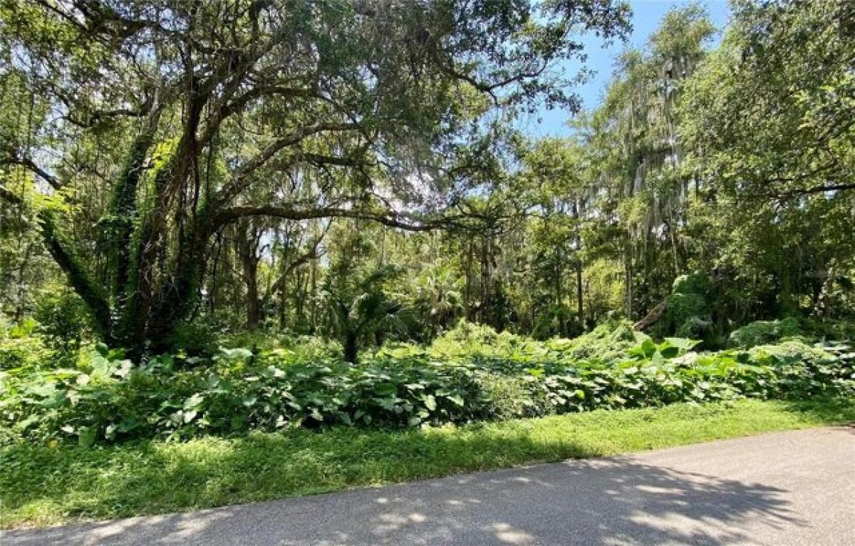 Picture of Residential Land For Sale in Lake Panasoffkee, Florida, United States